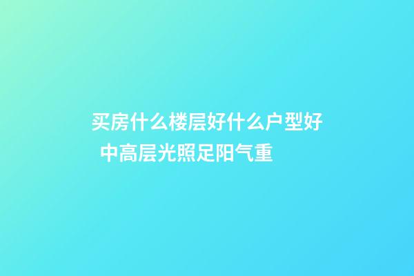 买房什么楼层好什么户型好  中高层光照足阳气重